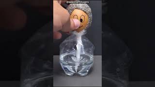 This Person Made an Amazing Invention Using an Egg 🥚 [upl. by Virg4]