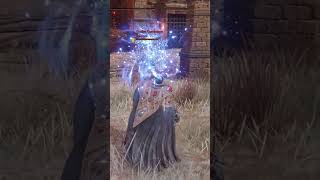 Elden Ring PVP Veteran Mage vs Erdtree Greatshield [upl. by Stephenson443]