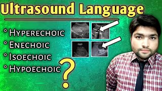 Decoding Ultrasound Language  Understanding Hyperechoic Hypoechoic Echogenicity Isoechoic and [upl. by Nylareg]