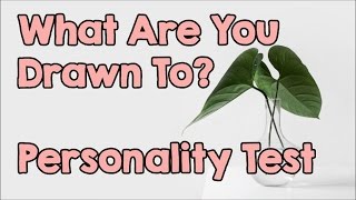 Personality Test What Are You Drawn To [upl. by Nitsrik]