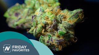 Friday Favorites Does Marijuana Cause Strokes and Heart Attacks [upl. by Ayala]