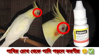 পাখির চোখ থেকে পানি পড়লে করণীয় কাজ  Opsophenicol eye drop এর ব্যবহার 💦 treatment [upl. by Angel]