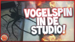 VOGELSPIN IN STUDIO [upl. by Irot]