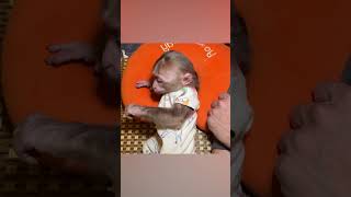 Monkey NANA always wakes up her father every morning monkey babymonkey smartmonkey shorts [upl. by Nofpets]