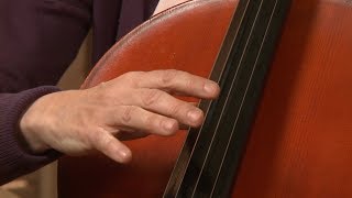 Cello Technique 101  Lesson 5  Playing Pizzicato [upl. by Tuesday181]