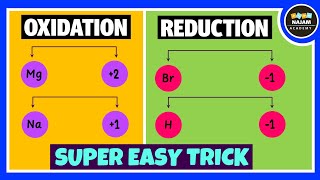 Oxidation and Reduction Reactions [upl. by Sesom480]