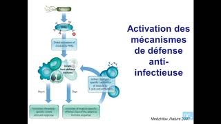 immunité antivirale partie 1 [upl. by Yunfei]