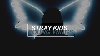 Stray Kids  Young Wings Subtitulada en español OT9 [upl. by Halpern]