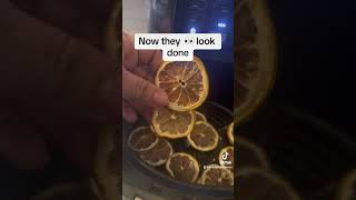 Dehydrating lemons 🍋 lemon dehydrated dehydrating airfryer ninja walmart airfryerrecipes [upl. by Hoy]