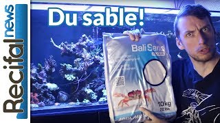 VLOG17 Vince Z  le sable en aquarium récifal [upl. by Ahsauqram]