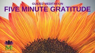 5 Minute Guided Meditation for Gratitude  Mindful Movement [upl. by Kermit]