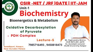 Oxidative Decarboxylation of Pyruvate  PDH Complex  Metabolism  Biochemistry [upl. by Hesoj]