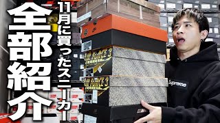 【スニーカー】大物リリースラッシュの1ヶ月！11月に購入したスニーカーとリリースを振り返る！！ [upl. by Airdni742]