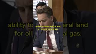 Sen Hawley DOES NOT Appreciate Hon Andrew Lights Attitude When Asked A Simple Question  shorts [upl. by Arral]