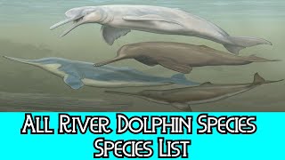 All River Dolphin Species  Species List [upl. by Schaffer]