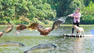 Cast Net To Harvest Many Fish In The Large Lake Goes To Market Sell  A Life Farm Dang Tieu Huyen [upl. by Sharpe]