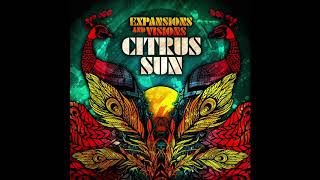 Diamond In The Sun  Citrus Sun Official Audio [upl. by Nevek]