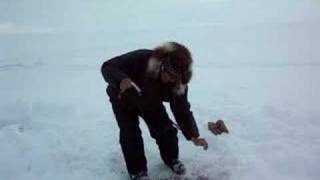 catching fish in nunavut [upl. by Esteban385]