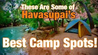 Havasupai  CAMPGROUND Walkthrough the Most Beautiful Campsite EVER [upl. by Ysteb]