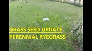 Grass seeding update [upl. by Raynell]