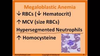 Folate amp B12 Deficiency Megaloblastic Anemia Hypersegmented Macrocytic Methylmalonic [upl. by Dalpe980]