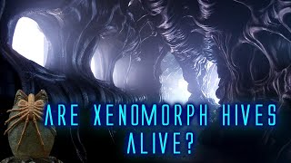 Xenomorph Hives Explained  Could they be Alive [upl. by Snowber]