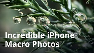 How To Take Incredible Macro Photos With Your iPhone [upl. by Butterworth63]