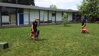 Walkersville Middle School Career Day [upl. by Sternberg]