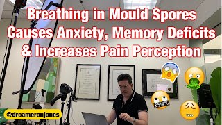 Breathing in mould spores causes anxiety memory deficits and increases pain perception [upl. by Madeline169]