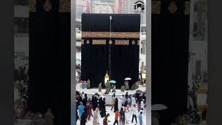 KhAnA kAbA HD video [upl. by Huxham]