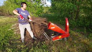 Urban Wood Chipper Hecht 6208  some birch [upl. by Hoffman325]