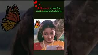 പാടുന്നെൻ❤️ പ്രാണനിൽ song [upl. by Aimil734]