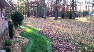 How To Rake Leaves  Work Smarter Not Harder [upl. by Pedersen]