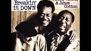 Muddy Waters Johnny Winter amp James Cotton  Love Her With A Feelingwmv [upl. by Brenk]