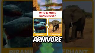 😱 DANGEROUS CREATURES YOU DIDNT EVEN THINK OF facts shorts [upl. by Verneuil]