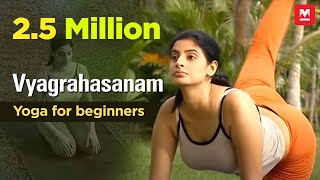 Vyaghrasanam  Yoga for beginners by Yamini Sharma  Health Benefits  Manorama Online [upl. by Yasibit]