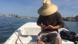 California Saltwater Inshore Fishing  A Day to Remember [upl. by Vaios]