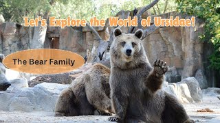 Lets Explore the World of Ursidae The Bear Family [upl. by Reld]