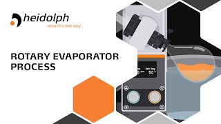 Rotary Evaporation Process [upl. by Gnart]