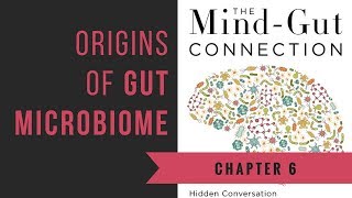 Chapter 6 Origins of Gut Microbiome  The MindGut Connection [upl. by Pederson]