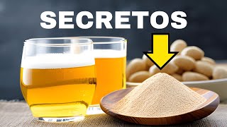 5 cosas que no sabias sobre la levadura cervecera  NoSoyNormal Cerveceria [upl. by Llenral938]