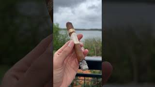 Plasencia Reserva Original Cigar Review cigar review howto cigars bourbon whiskey cigarlounge [upl. by Alemat]