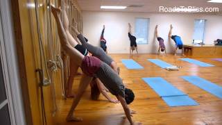 Urdhva Prasarita Ekapadasana with Lois Steinberg PhD Certified Iyengar Yoga Teacher Advanced 2 [upl. by Nayrb]