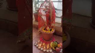 Tulsi pooja dev uthani ekadashi2014 love [upl. by Brill]