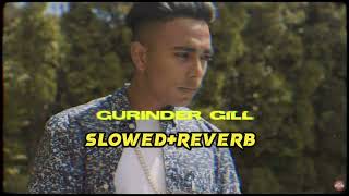 DONT TEST GURINDER GILL SLOWEDREVERB BYNA LOFi Song [upl. by Kathrine]