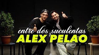 ALEX PELAO Y LA PEOR ENTREVISTA DE SU VIDA  ENTRE DOS SUCULENTAS 5 [upl. by Aisirtap135]