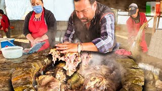 Viajé 5 HORAS por estos TACOS de BARBACOA 🌮 Barbacoa de Borrego  Tour Enorme de Comida Mexicana [upl. by Lilybel]