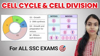 CELL CYCLE amp CELL DIVISION  MITOSIS AND MEIOSIS FOR SSC EXAMS sscbiology [upl. by Refotsirc]