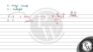 What are the products of exhaustive ammonolysis of an alkyl halide [upl. by Andel100]