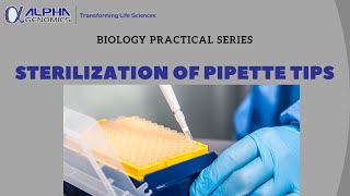 Sterilization of Pipette Tips UrduHindi [upl. by Joappa]